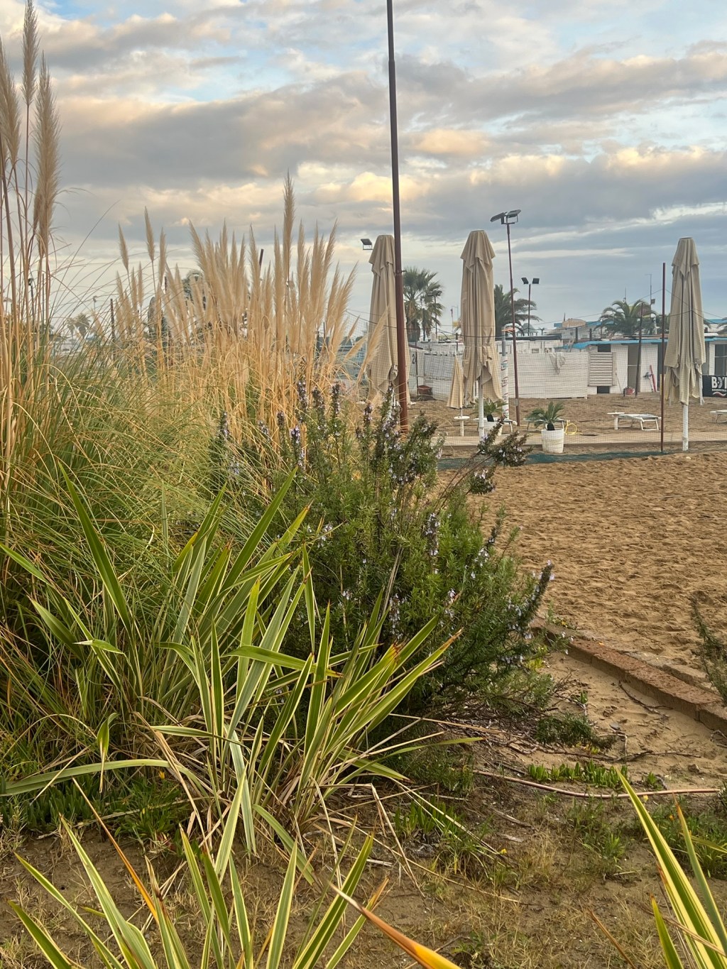 Rimini, le sue fogne “segrete” e il Parco del&nbsp;Mare